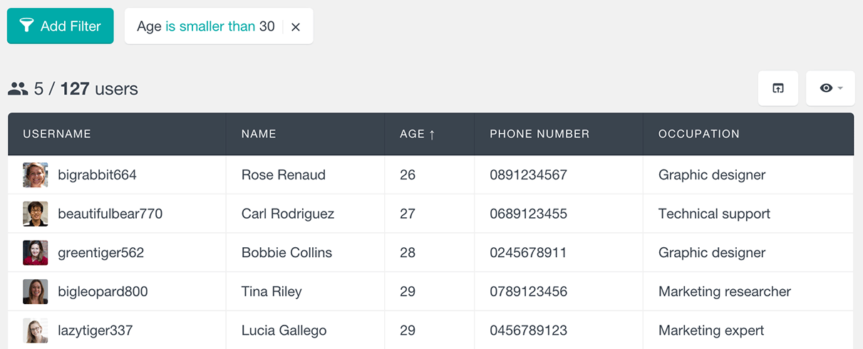 users insights filter by numeric custom field