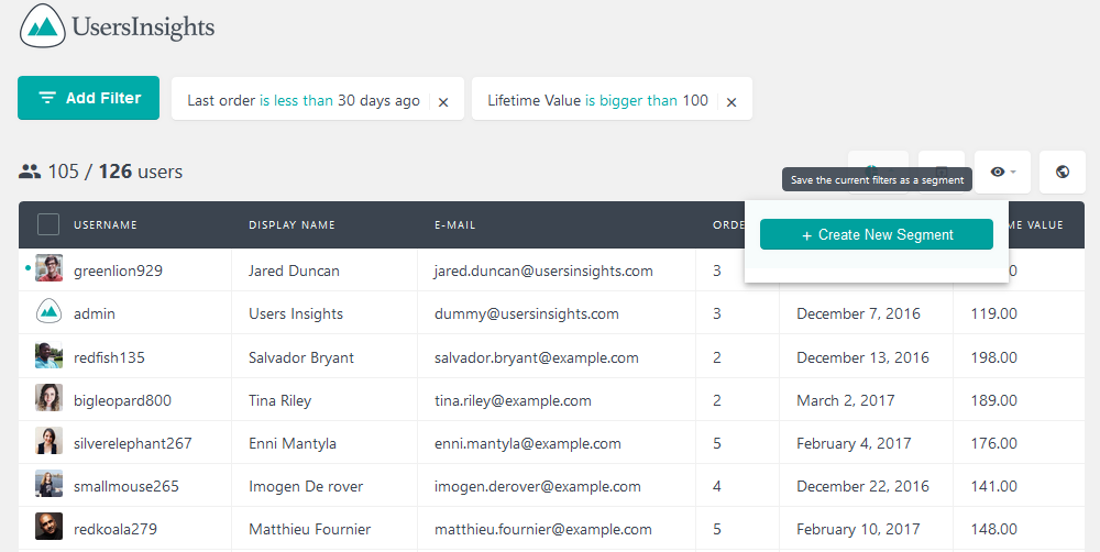 Creating a new segment in Users Insights