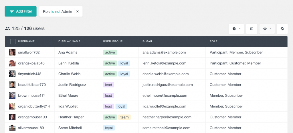 Use Search Users Advanced WordPress User Search - Users Insights