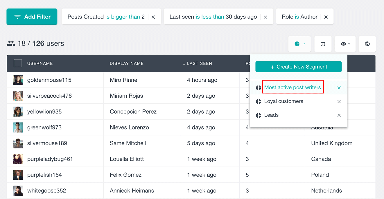 WordPress User Segments - Users Insights