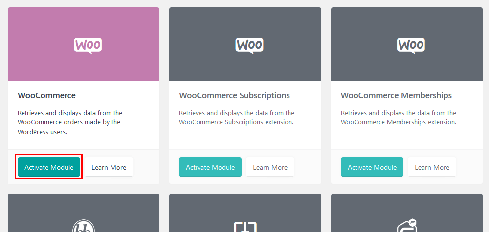 WooCommerce module from Users Insights